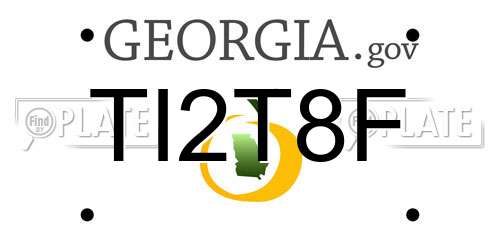 TI2T8F Georgia License Plate