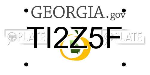 TI2Z5F Georgia License Plate