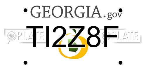 TI2Z8F Georgia License Plate