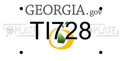TI728 Georgia License Plate