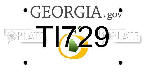 TI729 Georgia License Plate