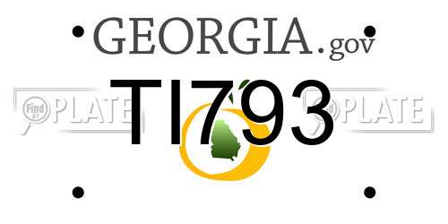 TI793 Georgia License Plate