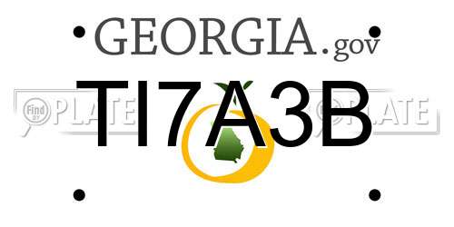 TI7A3B Georgia License Plate