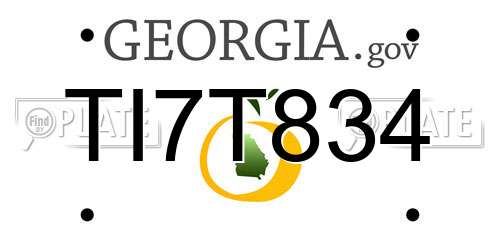 TI7T834 Georgia License Plate