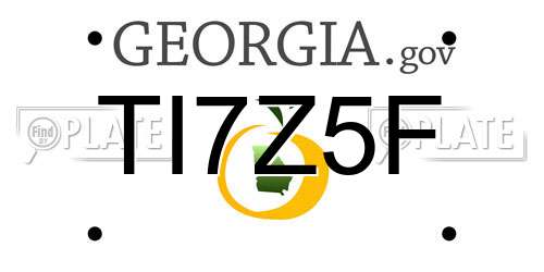 TI7Z5F Georgia License Plate