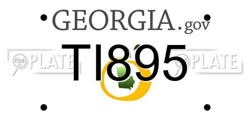 TI895 Georgia License Plate