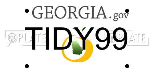 TIDY99 Georgia License Plate