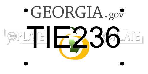 TIE236 Georgia License Plate