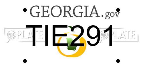 TIE291 Georgia License Plate