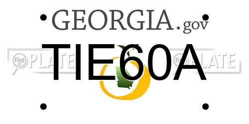 TIE60A Georgia License Plate