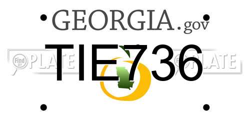 TIE736 Georgia License Plate