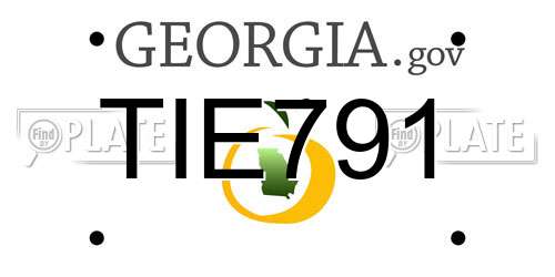 TIE791 Georgia License Plate