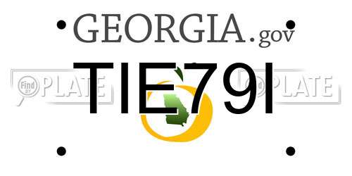 TIE79I Georgia License Plate