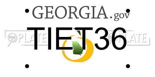 TIET36 Georgia License Plate