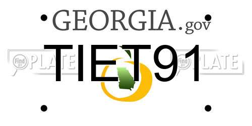 TIET91 Georgia License Plate
