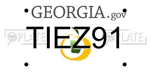 TIEZ91 Georgia License Plate