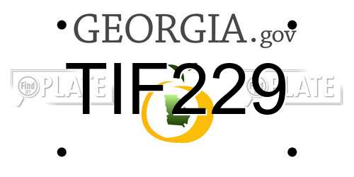 TIF229 Georgia License Plate