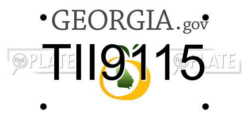 TII9115 Georgia License Plate