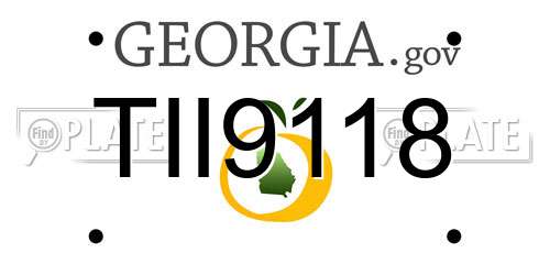 TII9118 Georgia License Plate