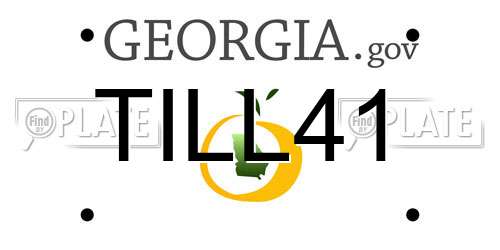 TILL41 Georgia License Plate