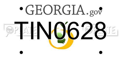 TIN0628 Georgia License Plate