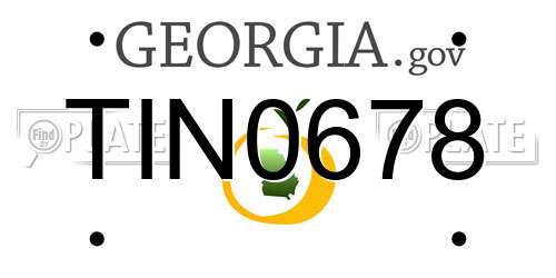 TIN0678 Georgia License Plate