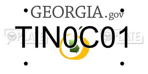 TIN0C01 Georgia License Plate