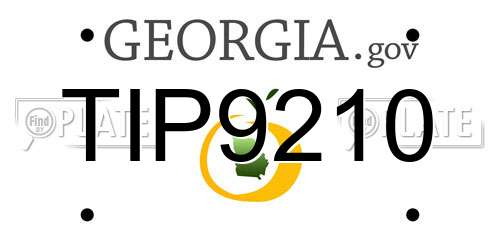TIP9210 Georgia License Plate