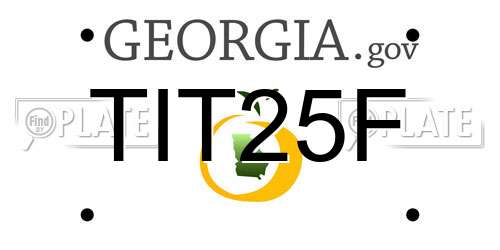 TIT25F Georgia License Plate