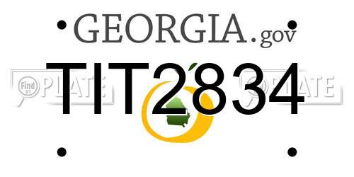 TIT2834 Georgia License Plate
