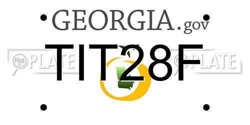 TIT28F Georgia License Plate