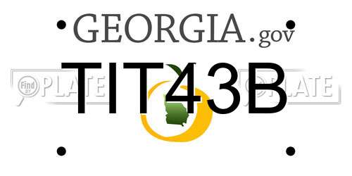 TIT43B Georgia License Plate