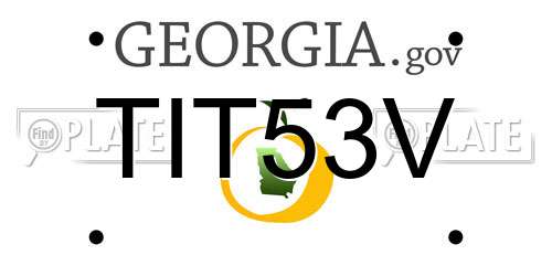 TIT53V Georgia License Plate
