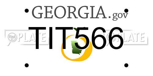 TIT566 Georgia License Plate