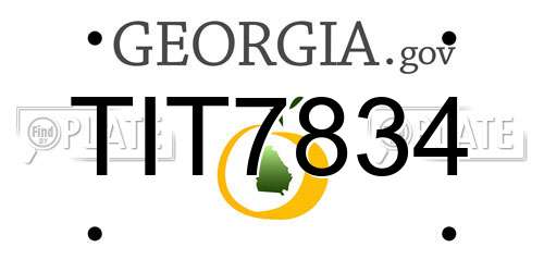 TIT7834 Georgia License Plate