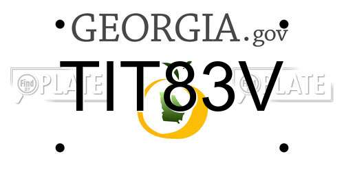 TIT83V Georgia License Plate