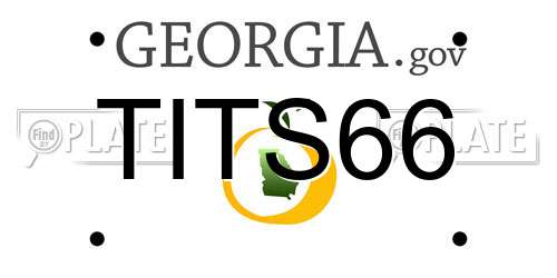 TITS66 Georgia License Plate