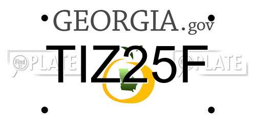 TIZ25F Georgia License Plate