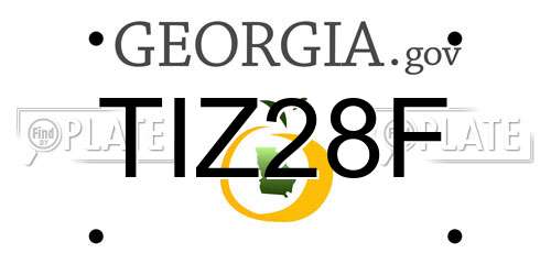 TIZ28F Georgia License Plate