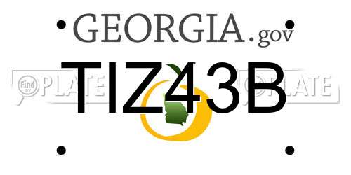 TIZ43B Georgia License Plate