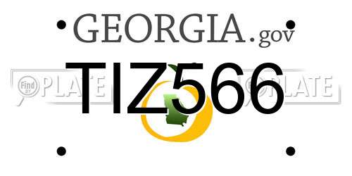 TIZ566 Georgia License Plate