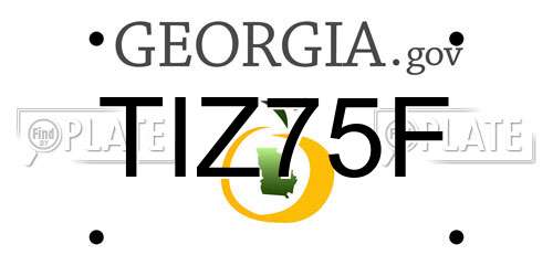 TIZ75F Georgia License Plate