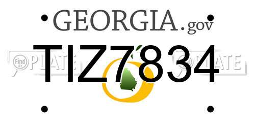TIZ7834 Georgia License Plate