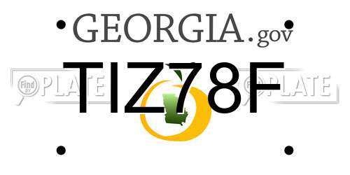 TIZ78F Georgia License Plate