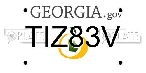 TIZ83V Georgia License Plate