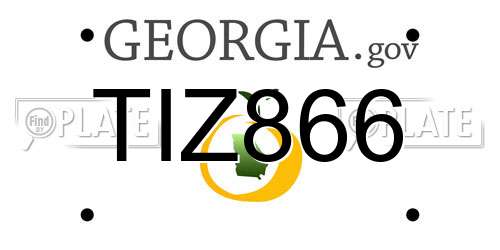 TIZ866 Georgia License Plate