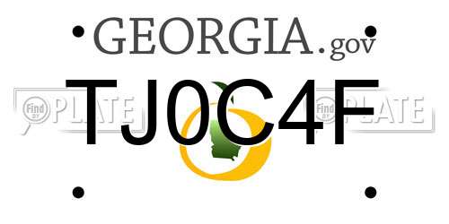 TJ0C4F Georgia License Plate
