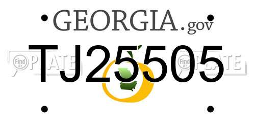 TJ25505 Georgia License Plate