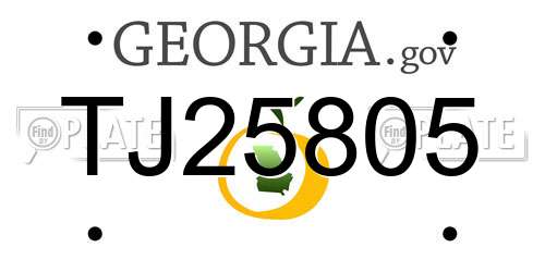 TJ25805 Georgia License Plate