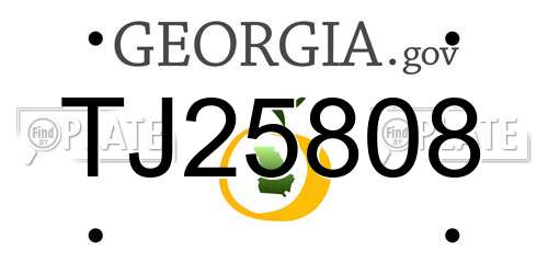 TJ25808 Georgia License Plate
